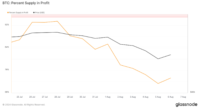 Bitcoin市場動蕩：短期持有者受創嚴重，利潤大 圖片