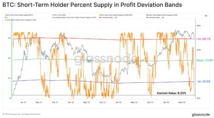 Bitcoin市場遭遇重創：3.65億美元損失，投機者 圖片