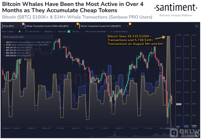 Bitcoin鯨魚交易量飆升至四個月新高 市場 圖片