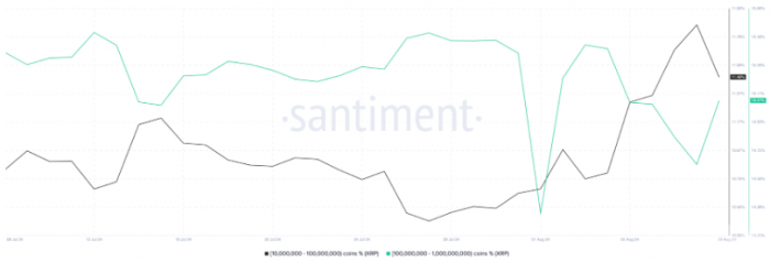 加密鯨魚在2024年8月第一周的山寨幣購買動態(tài)圖片