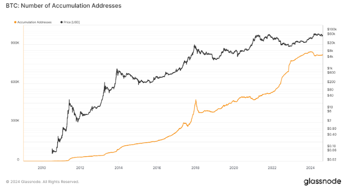 Bitcoin累積地址數量在減半后逐漸恢復圖片