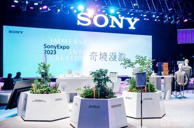 從GameFi到NFT：索尼在Blockchain上的多元化布局圖片