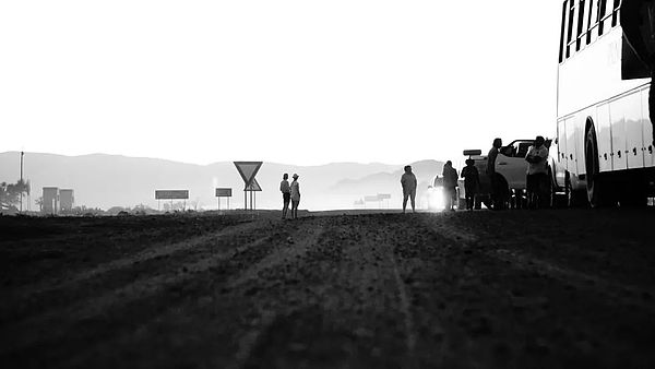 x_M(jn)Cryptoĵ ҂߀Մ?w)DƬ