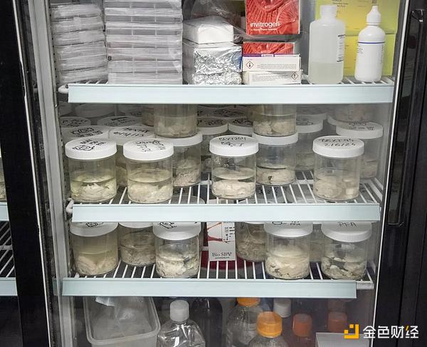 八年前梭哈Ethereum 這位加密億萬富豪為何迷上 圖片