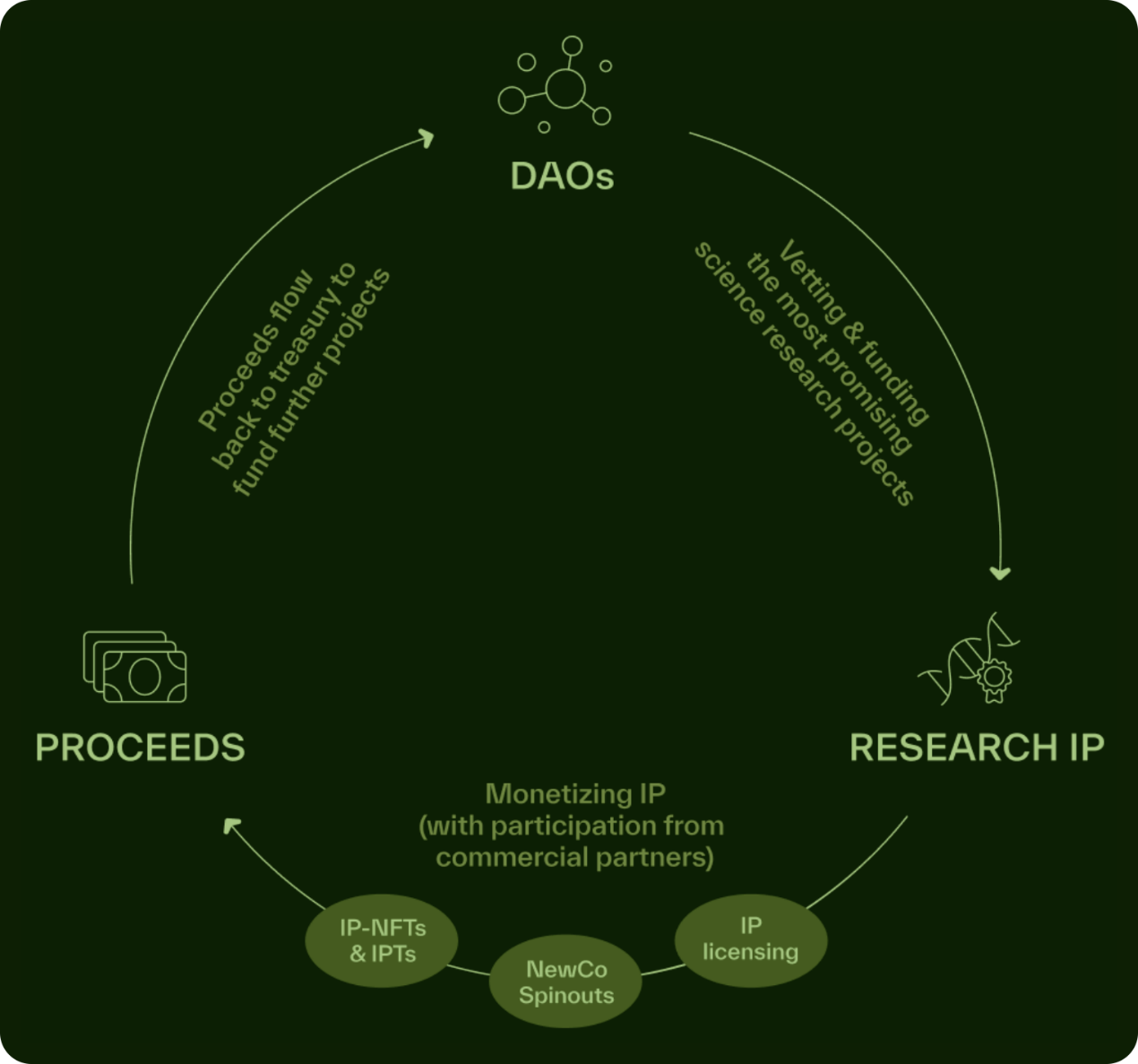 詳解BIO Protocol及DeSci領(lǐng)域項目如何革新科研 圖片
