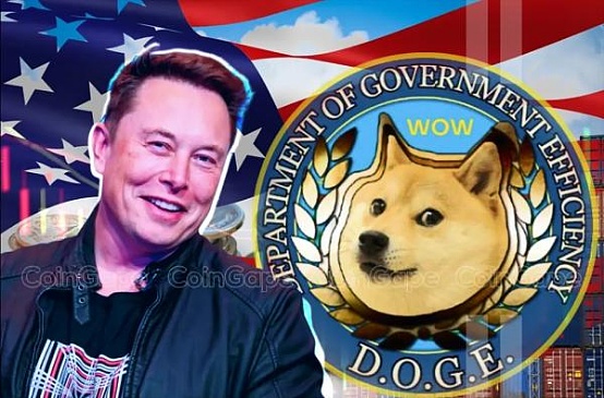 DOGE行動:馬斯克如何用一支非官方團隊撬動白宮圖片