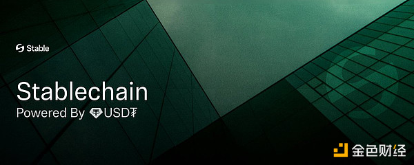 TokenInsight：穩定幣專屬Blockchain的崛起圖片
